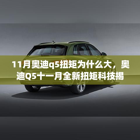 揭秘奥迪Q5十一月全新扭矩科技，卓越体验，揭秘大扭矩背后的秘密