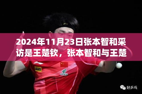 张本智和与王楚钦交锋深度解析，2024年11月23日采访实录