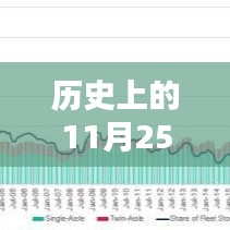 历史上的11月25日最新鲁鲁片，历史上的11月25日，探寻鲁鲁片的最新魅力篇章