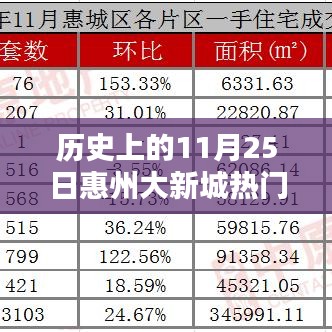 揭秘历史上的惠州大新城，揭秘11月25日的热门消息回顾