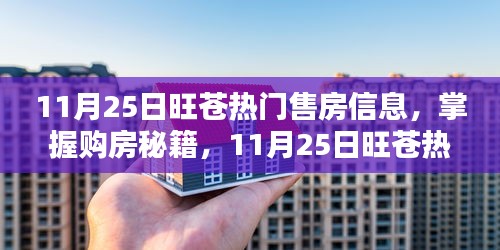 11月25日旺苍热门售房信息详解与购房秘籍分享