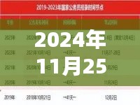 2024年11月25日热门公参要求深度解析