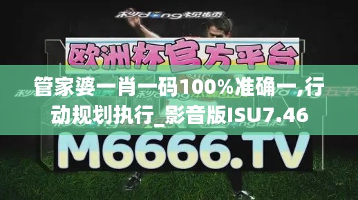 管家婆一肖一码100%准确一,行动规划执行_影音版ISU7.46