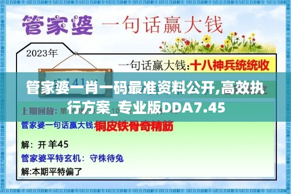 管家婆一肖一码最准资料公开,高效执行方案_专业版DDA7.45