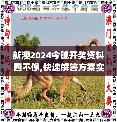 新澳2024今晚开奖资料四不像,快速解答方案实践_程序版NLN7.81