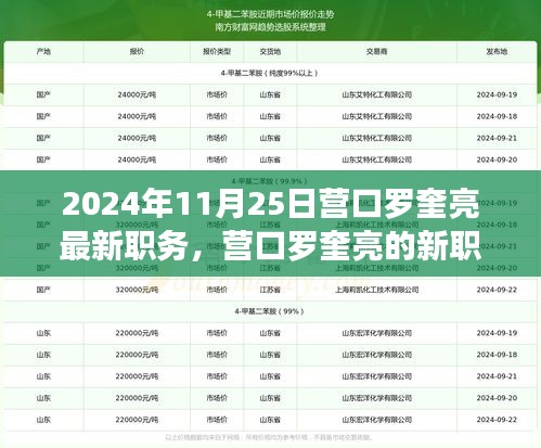 友情之光闪耀的日子，营口罗奎亮的新职务揭晓，2024年11月25日更新