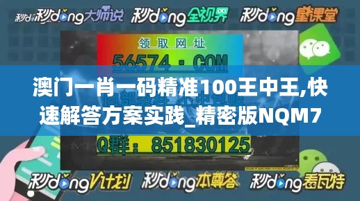 澳门一肖一码精准100王中王,快速解答方案实践_精密版NQM7.42