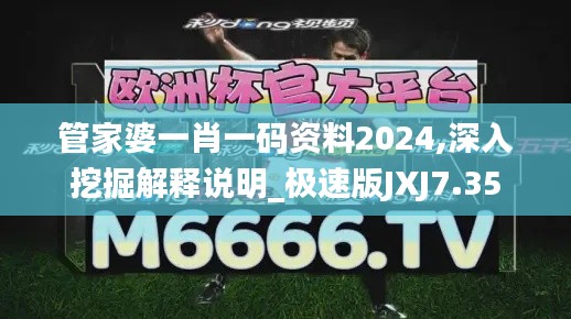 管家婆一肖一码资料2024,深入挖掘解释说明_极速版JXJ7.35