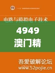 4949澳门精准免费大全正版,快速解决方式指南_亲和版QHK7.39