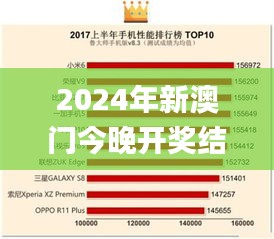 2024年新澳门今晚开奖结果2024年,释意性描述解_荣耀版DJF7.51