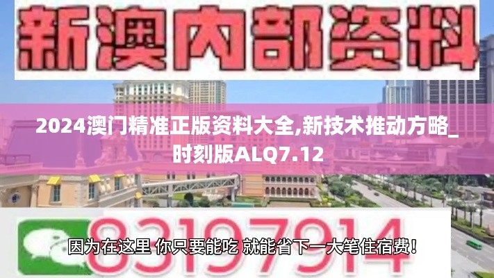 2024澳门精准正版资料大全,新技术推动方略_时刻版ALQ7.12