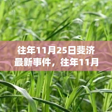 往年11月25日斐济事件深度解析，特性、体验、对比及用户需求分析