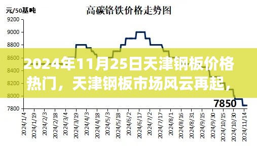 天津钢板市场风云再起，聚焦价格热点与影响因素——2024年11月25日