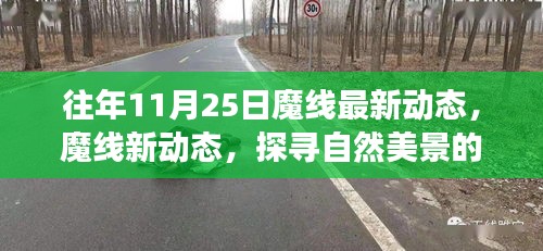 探寻自然美景的暖心之旅，魔线新动态揭秘往年11月25日的奇妙启程