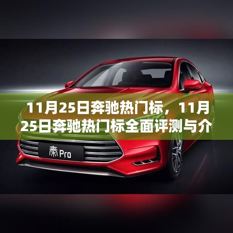 奔驰热门车型全面评测与介绍，11月25日深度剖析