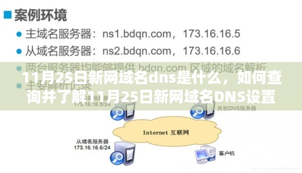 11月25日新网域名DNS设置查询与了解指南，详细步骤及解析