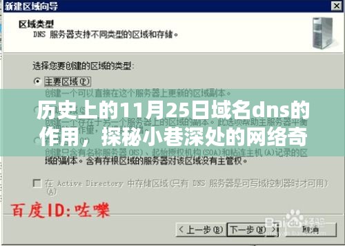 探秘域名DNS的历史与小巷深处的网络奇缘，一家特色小店的奇妙故事中的DNS作用探索。