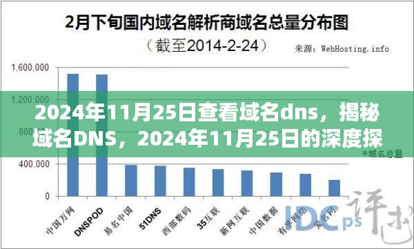 揭秘域名DNS，深度探索之旅，带你了解域名DNS的奥秘（日期，2024年11月25日）