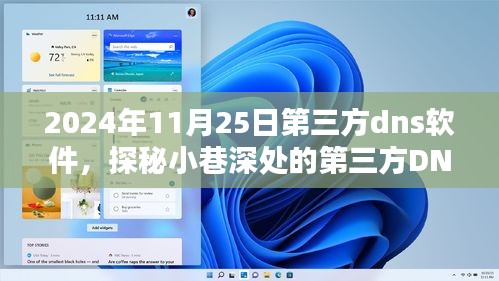 探秘第三方DNS软件宝藏店，独特体验记于2024年11月25日