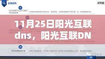 阳光互联DNS升级解析，技术前沿与用户体验的双重提升，日期为11月25日