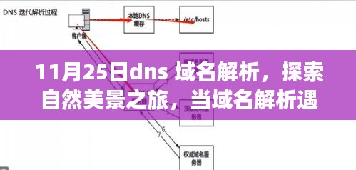 11月25日dns 域名解析，探索自然美景之旅，当域名解析遇上心灵的宁静之地