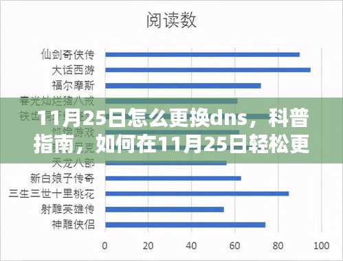 科普指南，如何在特定日期（11月25日）轻松更换DNS服务设置