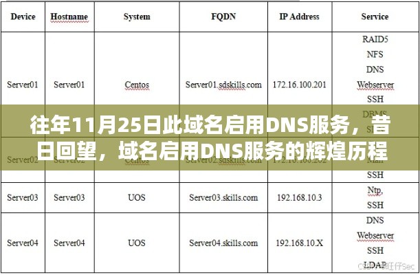 昔日回望，域名启用DNS服务的辉煌历程与深远影响纪念解析启动日（往年11月25日）