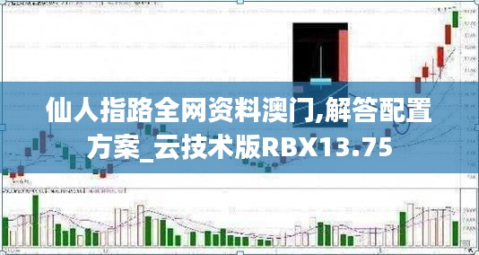 仙人指路全网资料澳门,解答配置方案_云技术版RBX13.75