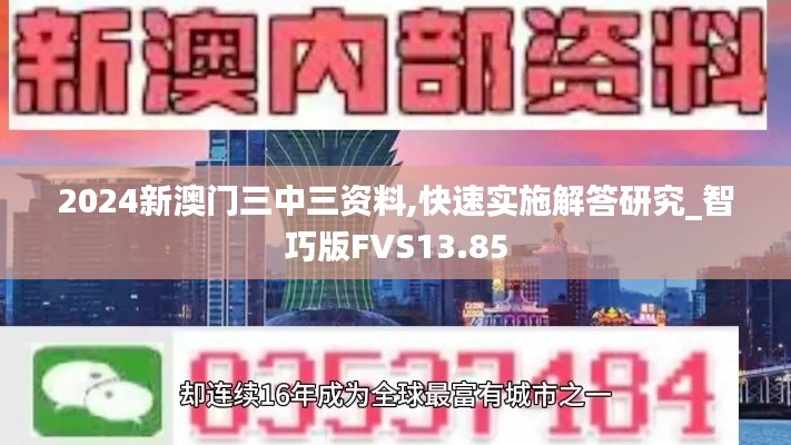 2024新澳门三中三资料,快速实施解答研究_智巧版FVS13.85