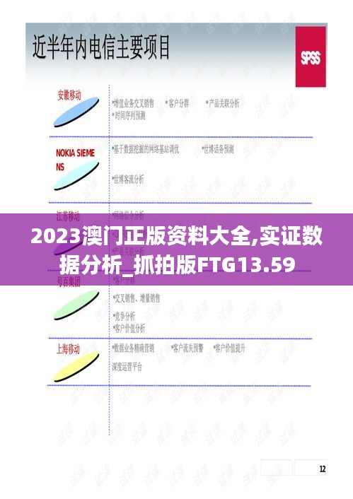 2023澳门正版资料大全,实证数据分析_抓拍版FTG13.59