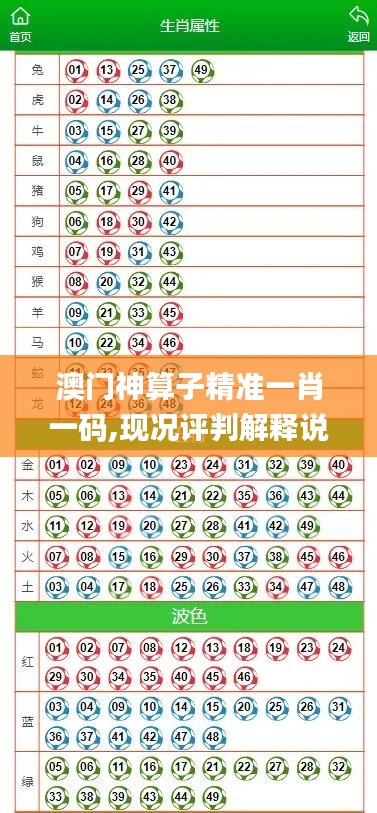 澳门神算子精准一肖一码,现况评判解释说法_理想版AJN13.73