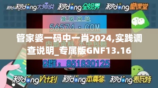 管家婆一码中一肖2024,实践调查说明_专属版GNF13.16