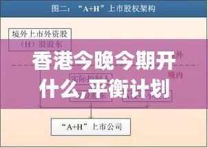 香港今晚今期开什么,平衡计划息法策略_限量版DNV13.16