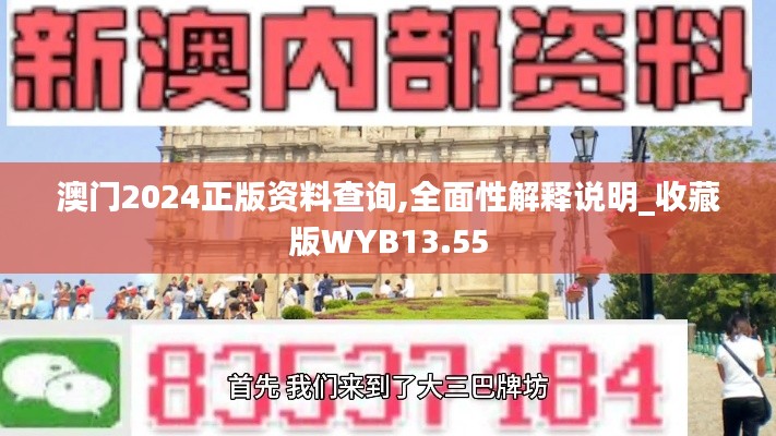 澳门2024正版资料查询,全面性解释说明_收藏版WYB13.55