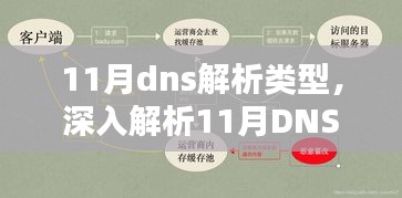 深入解析，11月DNS解析类型特性、体验、竞品对比及用户群体分析