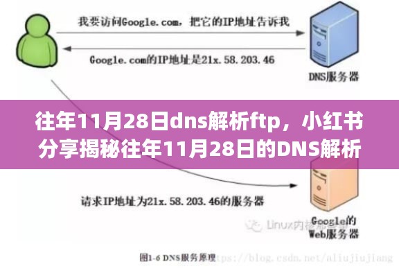 揭秘往年11月28日的DNS解析与FTP连接之旅，小红书分享指南