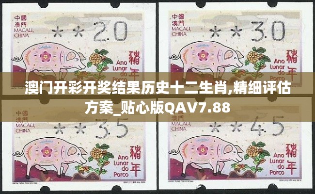 澳门开彩开奖结果历史十二生肖,精细评估方案_贴心版QAV7.88