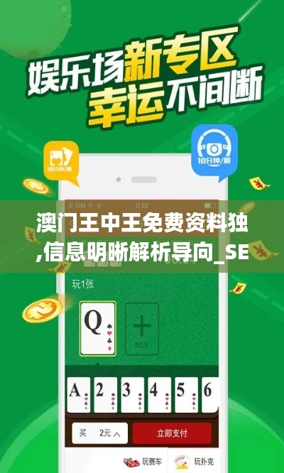 澳门王中王免费资料独,信息明晰解析导向_SE版YBN7.37