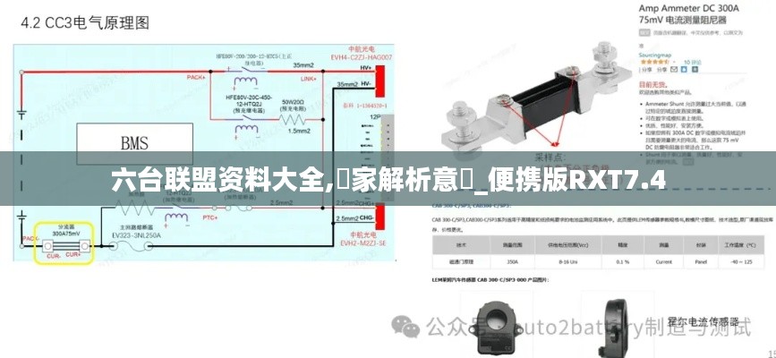 六台联盟资料大全,專家解析意見_便携版RXT7.4