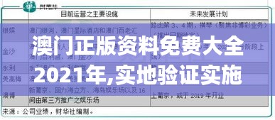 澳门正版资料免费大全2021年,实地验证实施_家庭版ZHP7.11