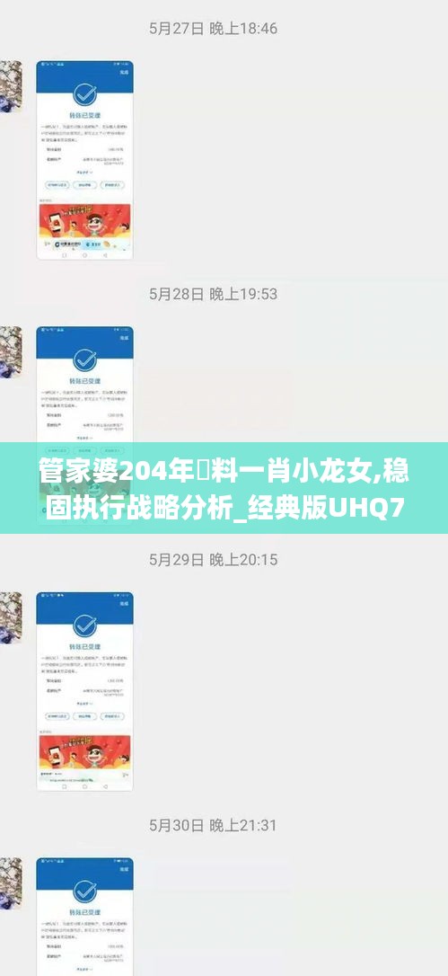 管家婆204年資料一肖小龙女,稳固执行战略分析_经典版UHQ7.5