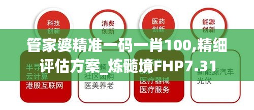 管家婆精准一码一肖100,精细评估方案_炼髓境FHP7.31