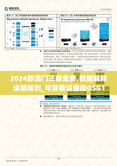 2024新澳门正版免费,数据解释说明规划_可穿戴设备版OSG13.23