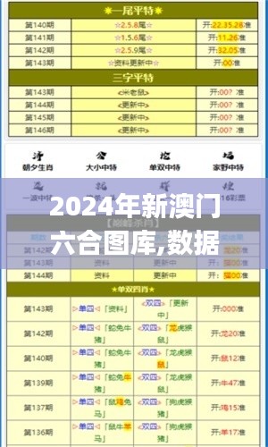 2024年新澳门六合图库,数据整合解析计划_便携版DWM13.41