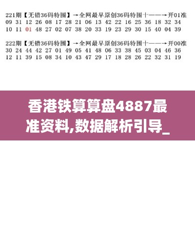 香港铁算算盘4887最准资料,数据解析引导_先锋版NXG13.65