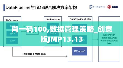 肖一码100,数据管理策略_创意版JMP13.13