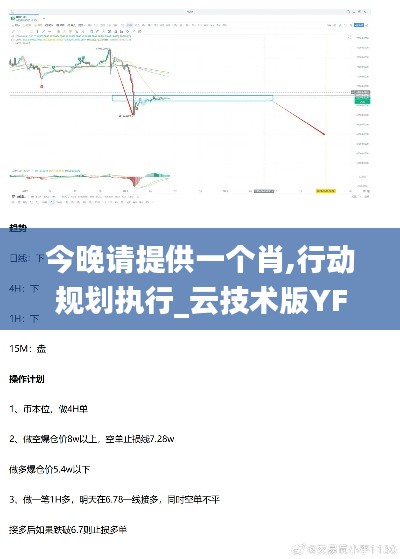 今晚请提供一个肖,行动规划执行_云技术版YFL13.82