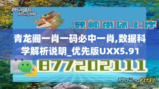 青龙阁一肖一码必中一肖,数据科学解析说明_优先版UXX5.91