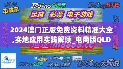 2024澳门正版免费资料精准大全,实地应用实践解读_电商版QLD14.24