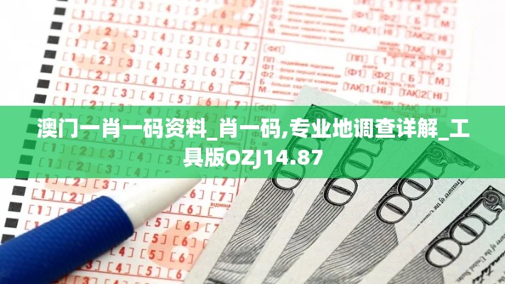 澳门一肖一码资料_肖一码,专业地调查详解_工具版OZJ14.87